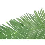 EUROPALMS Künstlicher Kokos-Königspalmwedel 180 cm