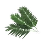 EUROPALMS Künstliche Kokos-Palmwedel 80 cm 12er-Set