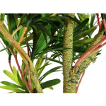EUROPALMS Steineibe, Kunstpflanze, 90cm