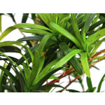 EUROPALMS Steineibe, Kunstpflanze, 90cm