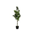 EUROPALMS Steineibe, Kunstpflanze, 90cm