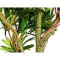 EUROPALMS Steineibe, Kunstpflanze, 90cm