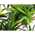 EUROPALMS Steineibe, Kunstpflanze, 90cm