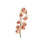 EUROPALMS Künstlicher Cymbidiumzweig creme-pink 90cm