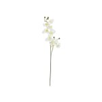 EUROPALMS Künstlicher Orchideenzweig...