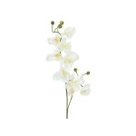 EUROPALMS Künstlicher Orchideenzweig...