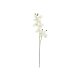 EUROPALMS Künstlicher Orchideenzweig creme-weiß 100 cm