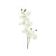 EUROPALMS Künstlicher Orchideenzweig creme-weiß 100 cm