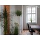 EUROPALMS Künstlicher Orchideenzweig creme-weiß 100 cm