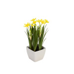 EUROPALMS Narzisse, Kunstpflanze, 23cm