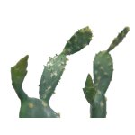 EUROPALMS Künstlicher Blätterkaktus im Topf 76 cm