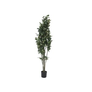 EUROPALMS Schefflera, künstlich, 120cm