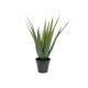 EUROPALMS Aloe-Vera Kunstpflanze im Gärtnertopf, 60 cm