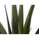 EUROPALMS Aloe-Vera Kunstpflanze im Gärtnertopf, 60 cm