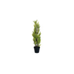 EUROPALMS Zypresse, Leyland, Kunstpflanze, 60cm