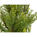 EUROPALMS Zypresse, Leyland, Kunstpflanze, 60cm