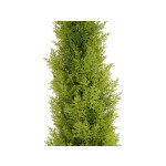 EUROPALMS Zypresse, Leyland, Kunstpflanze,  120cm