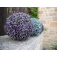 EUROPALMS Künstliche Graskugel pink Ø 22 cm