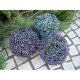 EUROPALMS Künstliche Graskugel pink Ø 22 cm