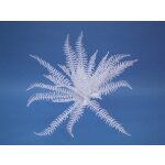 EUROPALMS Dekofarn zum Selbstfärben, künstlich,...