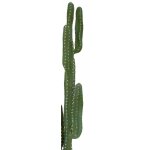 EUROPALMS Mexikanischer Kaktus Kunstpflanze grün 123 cm
