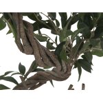 EUROPALMS Ficus Kunstpflanze mit Multi-Spiralstamm 130cm