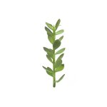 EUROPALMS Geldbäumchen-Spross Kunstpflanze 30cm