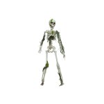 EUROPALMS Halloween Skelett mit Moos, 40cm